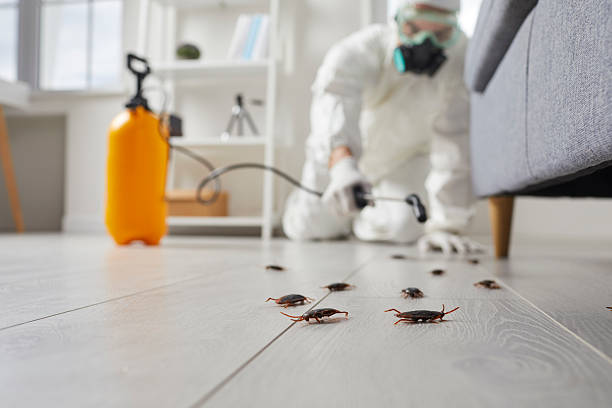 Trusted Cockroach Control service in West Covina, CA - Nex Pest Control