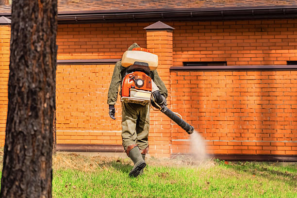 Trusted Ant Control service in West Covina, CA - Nex Pest Control